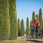 Giant Cypress Bikes