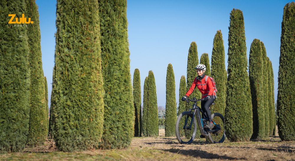 Giant Cypress Bikes